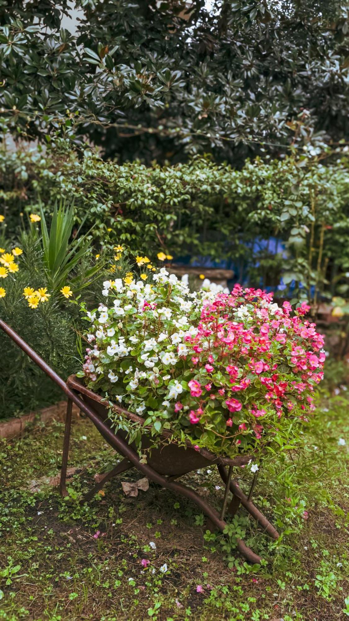 La Serra Sognante, Un Rifugio Incantevole Tra Natura E Relax Floransa Dış mekan fotoğraf